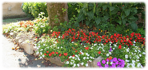 bouquet-de-fleurs