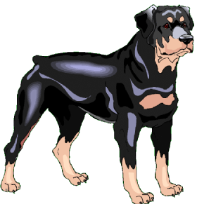 clipart chien