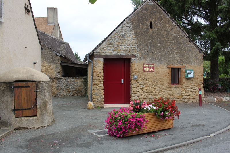 Défibrillateur Toilettes Publiques