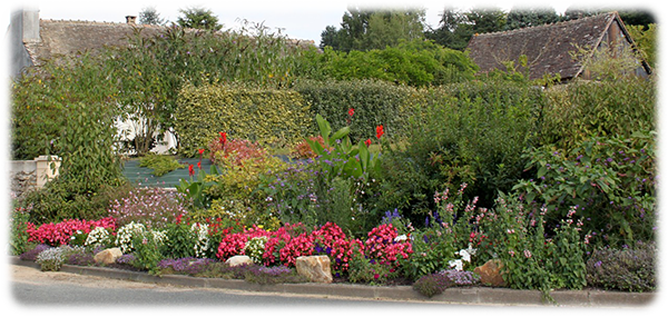 parterre-fleuri